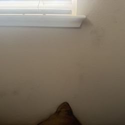 Lussostay - Finger prints all over not cleaned properly