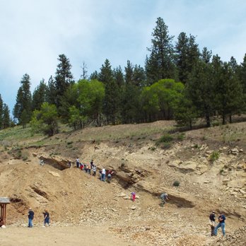 Stonerose Interpretive Center - The fossil site is located just two and a half blocks from the Interpretive Center. - Museums Near Me - Republic, Washington