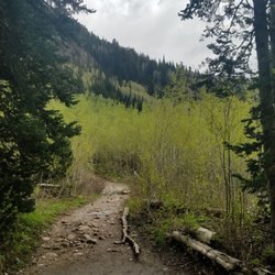Maybird Gulch Trail