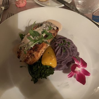 The Addison - Salmon entree - Venues & Event Spaces Near Me - Boca Raton, Florida The Addison - Salmon entree - Venues & Event Spaces Near Me - Boca Raton, Florida