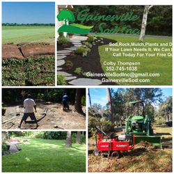 Gainesville Sod