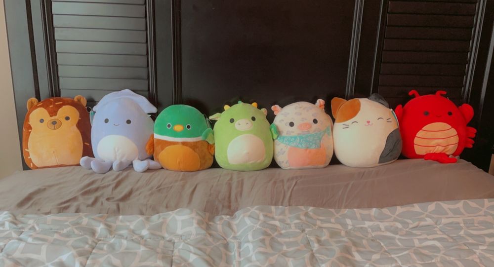 LEARNING EXPRESS TOYS OF COLLEGE STATION 1505 University Dr E