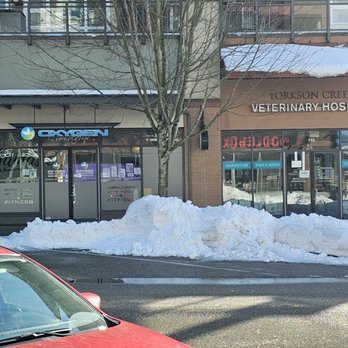 Willoughby Town Centre - Oxygen Yoga and Yorkson Creek Veterinary Hospital - Shopping Centers Near Me - Langley Township, British Columbia Willoughby Town Centre - Oxygen Yoga and Yorkson Creek Veterinary Hospital - Shopping Centers Near Me - Langley Township, British Columbia