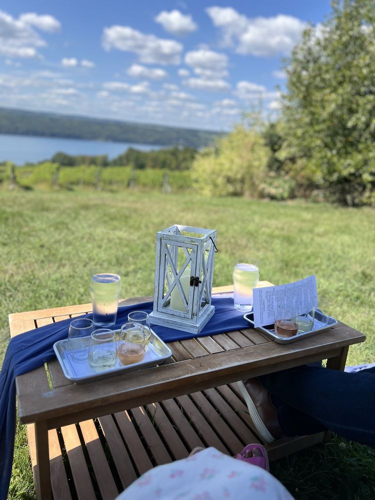 Chateau Lafayette Reneau - vineyard in Hector, NY