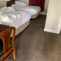 Room 102 "clean" carpet!