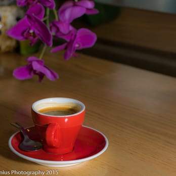 Sip Java - Coffee & Tea Near Me - Fort Lauderdale, Florida Sip Java - Coffee & Tea Near Me - Fort Lauderdale, Florida