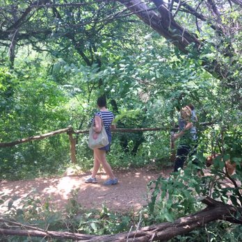 Barton Creek Greenbelt - Rest, Rejuvenation & Raucous Wet Fun @ Barton Creek. - Parks Near Me - Austin, Texas Barton Creek Greenbelt - Rest, Rejuvenation & Raucous Wet Fun @ Barton Creek. - Parks Near Me - Austin, Texas