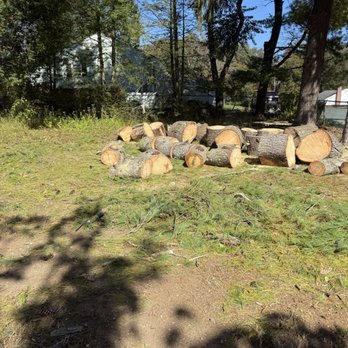 Aja - Landscaping Near Me - Randolph, Massachusetts Aja - Landscaping Near Me - Randolph, Massachusetts