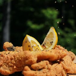 Ande Charles Slider Bistro - Lemon Pepper FIsh