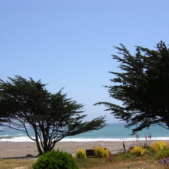 Moonstone Beach - Cyress and bench at south end of Moonstone Beach - Beaches Near Me - Cambria, California Moonstone Beach - Cyress and bench at south end of Moonstone Beach - Beaches Near Me - Cambria, California