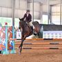 Photo of Equine International Stables