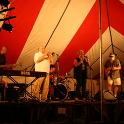 Illinois Blues Festival