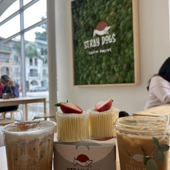 Stray Dogs Coffee Roasters - Japanese cheesecake & vanilla latte & fun drink with cold foam - Coffee Roasteries Near Me - Riverside, California
