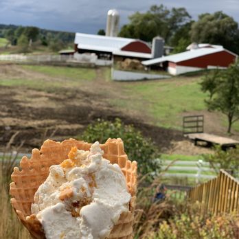 Moomers - Pumpkin pie/cinnamon spice (apologies for forgetting the exact name!) - Ice Cream & Frozen Yogurt Near Me - Traverse City, Michigan