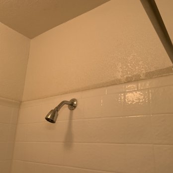Desert Bay Apartments - possible mold above shower head - Apartments Near Me - Laughlin, Nevada Desert Bay Apartments - possible mold above shower head - Apartments Near Me - Laughlin, Nevada