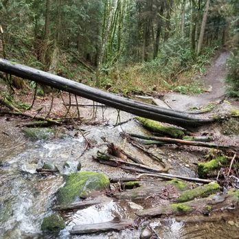 Coal Creek Falls Trail - Hiking Near Me - Newcastle, Washington Coal Creek Falls Trail - Hiking Near Me - Newcastle, Washington