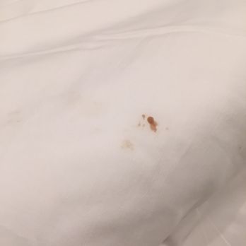 East Island Reserve Hotel - The dirty sheet - Hotels Near Me - Middletown, Rhode Island