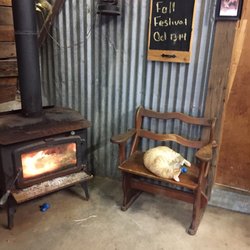 Pleasant Valley Farms - Are you kitten me??? Gift shop employees said this guy snuck in during the cold, rainy afternoon we were there. He sure looks cozy!