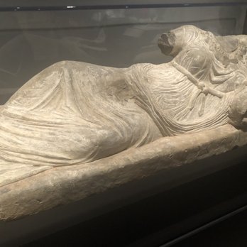 Field Museum - Museums Near Me - Chicago, Illinois Field Museum - Museums Near Me - Chicago, Illinois