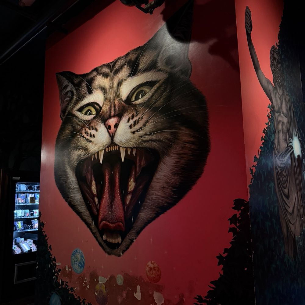 Jupiter Bar - Reminds me of my kitty back home - Bars Near Me - Seattle, Washington Jupiter Bar - Reminds me of my kitty back home - Bars Near Me - Seattle, Washington
