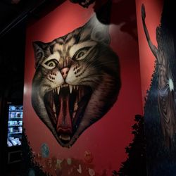 Jupiter Bar - Reminds me of my kitty back home