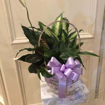 Hewitt Florist - Florists Near Me - Waco, Texas Hewitt Florist - Florists Near Me - Waco, Texas