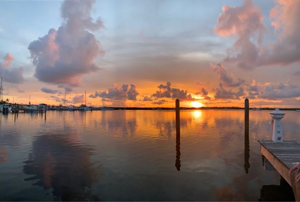 Coconut Palm Inn by null