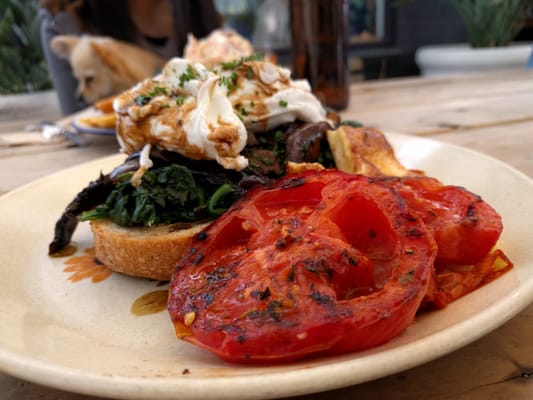 Mister Sunshine's by null