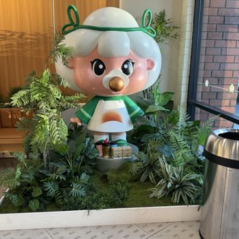 Molly Tea - Bubble Tea Near Me - Sunnyvale, California Molly Tea - Bubble Tea Near Me - Sunnyvale, California