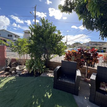 JM Landscaping and Maintenance - Calamansi tree and other plants trimmed. old leaves were removed around bushes - Tree Services Near Me JM Landscaping and Maintenance - Calamansi tree and other plants trimmed. old leaves were removed around bushes - Tree Services Near Me