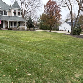 131 Landscaping - This lawn is much greener than previous Novembers. - Lawn Services Near Me