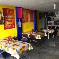 Taqueria el Tavo