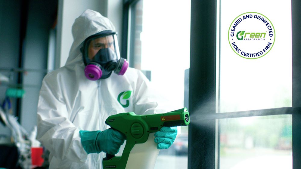 GREEN RESTORATION Updated September 2024 17 Photos North Haven