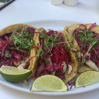Sava's - Fish Tacos - Bars Near Me - Ann Arbor, Michigan Sava's - Fish Tacos - Bars Near Me - Ann Arbor, Michigan