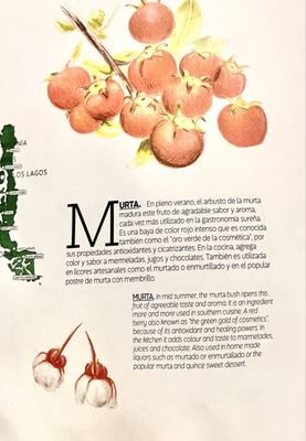 Peumayén Ancestral Food by null