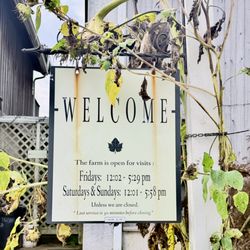 Va La Vineyards - Don't show up a minute early!