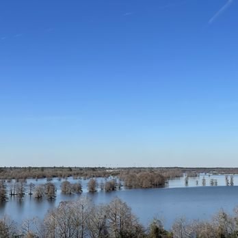 Sheldon Lake State Park and Environmental Learning Center - Lake Sheldon - view from the observation tower - Parks Near Me - Houston, Texas Sheldon Lake State Park and Environmental Learning Center - Lake Sheldon - view from the observation tower - Parks Near Me - Houston, Texas