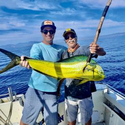 Daliken Sportfishing