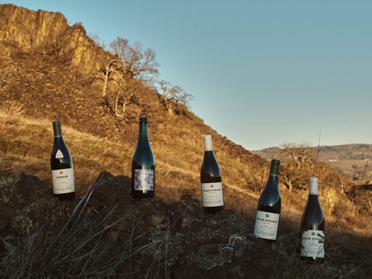 Evening Land Vineyards by null