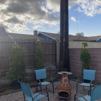 Castillo Landscaping - Privacy plants 15 gallons to grow into the space and allow for shaping - Landscaping Near Me