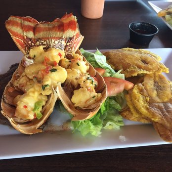 Pelican Reef Bar & Restaurant - Mar & Tierra - Puerto Rican Near Me - Aguada, Puerto Rico Pelican Reef Bar & Restaurant - Mar & Tierra - Puerto Rican Near Me - Aguada, Puerto Rico