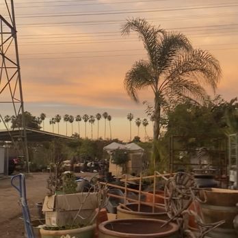 Mezcala Nursery - Nurseries & Gardening Near Me - Long Beach, California Mezcala Nursery - Nurseries & Gardening Near Me - Long Beach, California