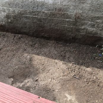 Jimmie's Tree Service - Stumps removed, like they weren't even there - Tree Services Near Me Jimmie's Tree Service - Stumps removed, like they weren't even there - Tree Services Near Me