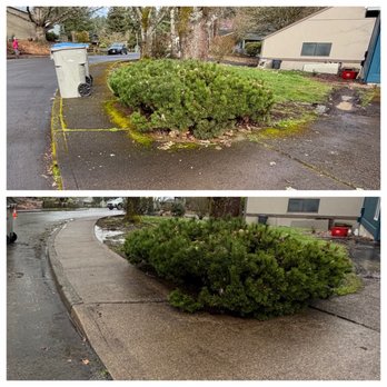 Hot Stuff Pressure Washing - Before and after - Pressure Washers Near Me - Tigard, Oregon