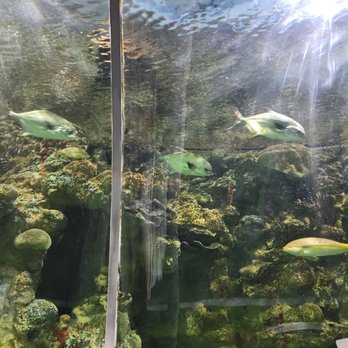 Discovery World - Aquarium - Children's Museums Near Me - Milwaukee, Wisconsin