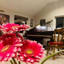 Small Town Music Lessons