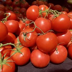 Belmont Farmers' Market