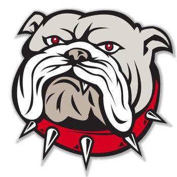 Alpha Junk Hauling - My new business logo will be all my t-shirts and hats. I haven't named the dog yet. - Junk Removal & Hauling Near Me Alpha Junk Hauling - My new business logo will be all my t-shirts and hats. I haven't named the dog yet. - Junk Removal & Hauling Near Me