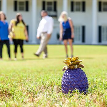 Real Estate by Ria - Real Estate Agents Near Me - Anderson, South Carolina Real Estate by Ria - Real Estate Agents Near Me - Anderson, South Carolina