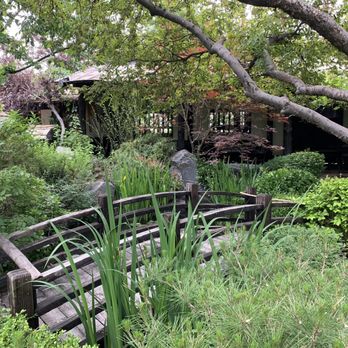 Domo - Japanese garden - Japanese Near Me - Denver, Colorado
